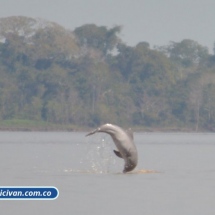 Bicivan Tour Kayak Rio Selva Amazonas Colombia