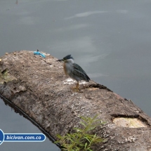 Bicivan Tour Kayak Rio Selva Amazonas Colombia