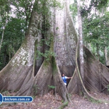 Bicivan Tour Kayak Rio Selva Amazonas Colombia
