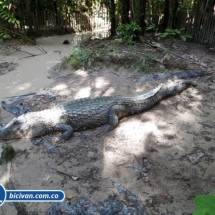 Bicivan Tour Kayak Rio Selva Amazonas Colombia