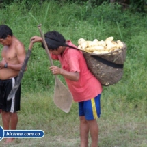 Bicivan Tour Kayak Rio Selva Amazonas Colombia