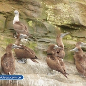 Bicivan Tour Kayak Mar Bahia Malaga Juanchaco Ladrilleros Pacifico Colombia