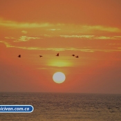 Bicivan Tour Kayak Mar Bahia Malaga Juanchaco Ladrilleros Pacifico Colombia