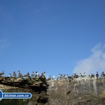 Bicivan Tour Kayak Mar Bahia Malaga Juanchaco Ladrilleros Pacifico Colombia