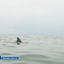 Bicivan Tour Kayak Mar Bahia Malaga Juanchaco Ladrilleros Pacifico Colombia