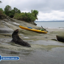 Bicivan Tour Kayak Mar Bahia Malaga Juanchaco Ladrilleros Pacifico Colombia