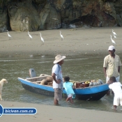 Bicivan Tour Kayak Mar Bahia Malaga Juanchaco Ladrilleros Pacifico Colombia