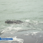 Bicivan Tour Kayak Mar Bahia Malaga Juanchaco Ladrilleros Pacifico Colombia