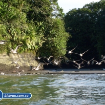 Bicivan Tour Kayak Mar Bahia Malaga Juanchaco Ladrilleros Pacifico Colombia