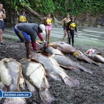 Bicivan Tour Kayak Mar Bahia Malaga Juanchaco Ladrilleros Pacifico Colombia