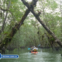 Bicivan Tour Kayak Mar Bahia Malaga Juanchaco Ladrilleros Pacifico Colombia