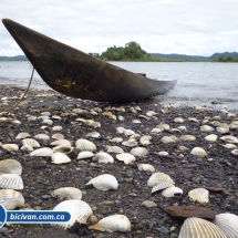 Bicivan Tour Kayak Mar Bahia Malaga Juanchaco Ladrilleros Pacifico Colombia