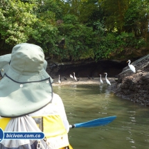 Bicivan Tour Kayak Mar Bahia Malaga Juanchaco Ladrilleros Pacifico Colombia