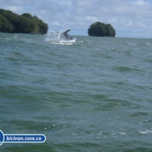 Bicivan Tour Kayak Mar Bahia Malaga Juanchaco Ladrilleros Pacifico Colombia