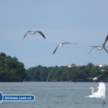 Bahia Malaga - Bicivan Kayak Colombia (28 de 32).jpg