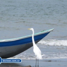 Bahia Malaga - Bicivan Kayak Colombia (29 de 32).jpg