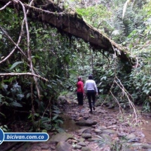 Ruta de las Cascadas Bahia Malaga- Bicivan Kayak Colombia0049.jpg