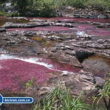 Bicivan Tour Rio Caño Cristal Colombia