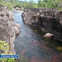 Bicivan Tour Rio Caño Cristal Colombia