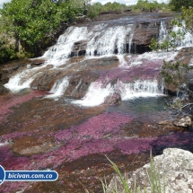 Bicivan Tour Rio Caño Cristal Colombia