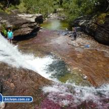 Bicivan Tour Rio Caño Cristal Colombia