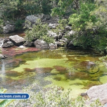 Bicivan Tour Rio Caño Cristal Colombia