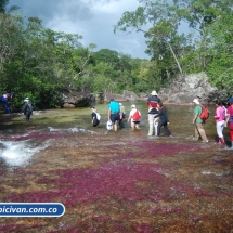 Bicivan Tour Rio Caño Cristal Colombia