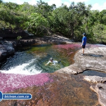 Bicivan Tour Rio Caño Cristal Colombia