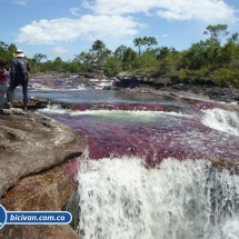 Bicivan Tour Rio Caño Cristal Colombia