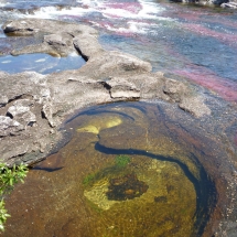 Bicivan Tour Rio Caño Cristal Colombia