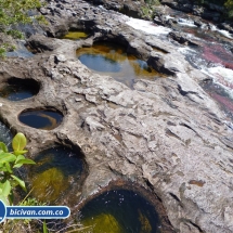 Bicivan Tour Rio Caño Cristal Colombia