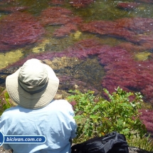 Bicivan Tour Rio Caño Cristal Colombia