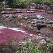 Kayak Caño Cristales Colombia