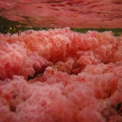 Kayak Caño Cristales Colombia