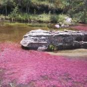 Kayak Caño Cristales Colombia