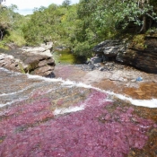 Kayak Caño Cristales Colombia