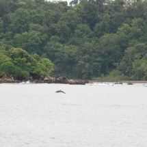 Kayak en Choco Colombia