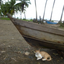 Bicivan Tour Kayak Mar Choco Nuqui Bahiasolano Utria Pacifico Colombia