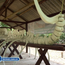 Bicivan Tour Kayak Mar Choco Nuqui Bahiasolano Utria Pacifico Colombia