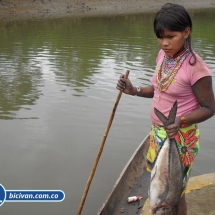 Bicivan Tour Kayak Mar Choco Nuqui Bahiasolano Utria Pacifico Colombia