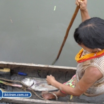 Bicivan Tour Kayak Mar Choco Nuqui Bahiasolano Utria Pacifico Colombia