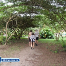 Bicivan Tour Kayak Mar Choco Nuqui Bahiasolano Utria Pacifico Colombia