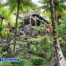 Bicivan Tour Kayak Mar Choco Nuqui Bahiasolano Utria Pacifico Colombia