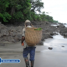 Bicivan Tour Kayak Mar Choco Nuqui Bahiasolano Utria Pacifico Colombia