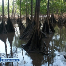 Bicivan Tour Kayak Mar Choco Nuqui Bahiasolano Utria Pacifico Colombia