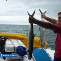 Bicivan Tour Kayak Mar Choco Nuqui Bahiasolano Utria Pacifico Colombia