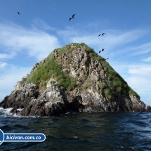 Bicivan Tour Kayak Buceo Mar isla gorgona Pacifico Colombia