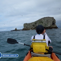 Bicivan Tour Kayak Buceo Mar isla gorgona Pacifico Colombia