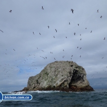 Bicivan Tour Kayak Buceo Mar isla gorgona Pacifico Colombia