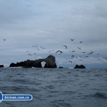 Bicivan Tour Kayak Buceo Mar isla gorgona Pacifico Colombia